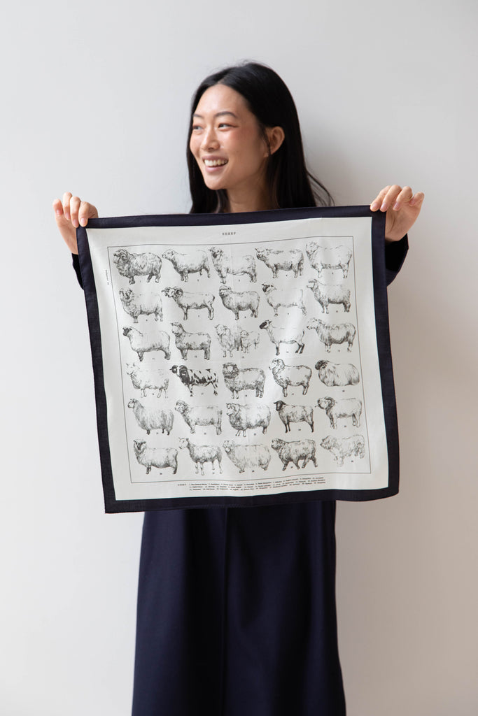 Aseedonclöud | Sheep Scarf in Cotton Silk