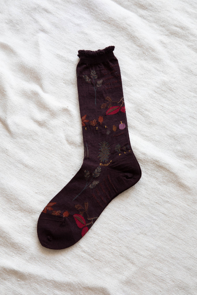 Antipast | Botanical Socks in Wine