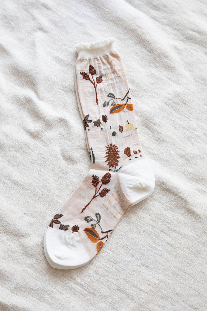 Antipast | Botanical Socks in Ivory