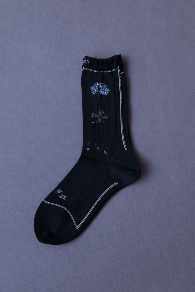 Antipast | Botanical XVI Socks in Black