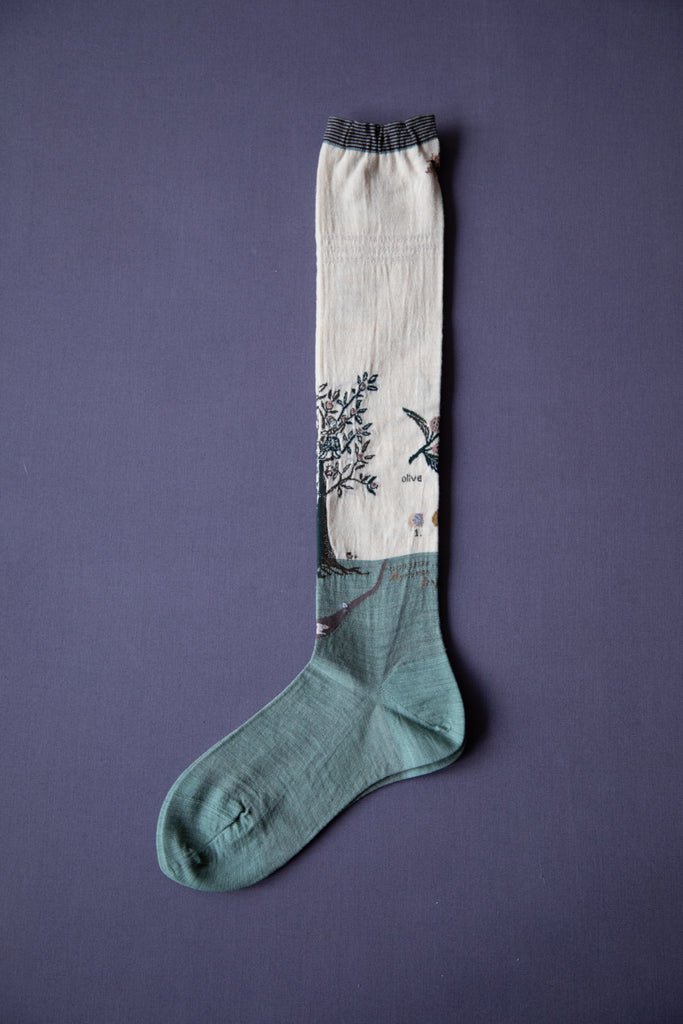 Antipast | Tall Olive Harvest Sock in Ivory and Sage