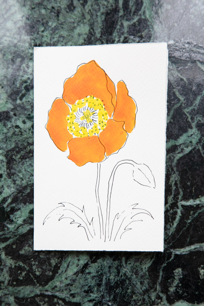 Scribble & Daub | Floral Card in Orange Poppy