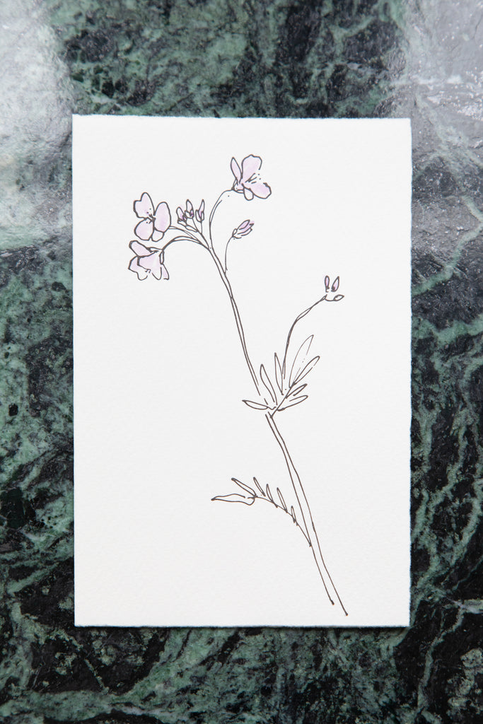 Scribble & Daub | Floral Card in Cuckoo