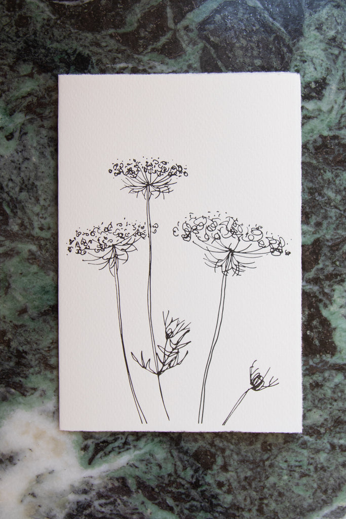 Scribble & Daub | Floral Card in Queen Anne's Lace