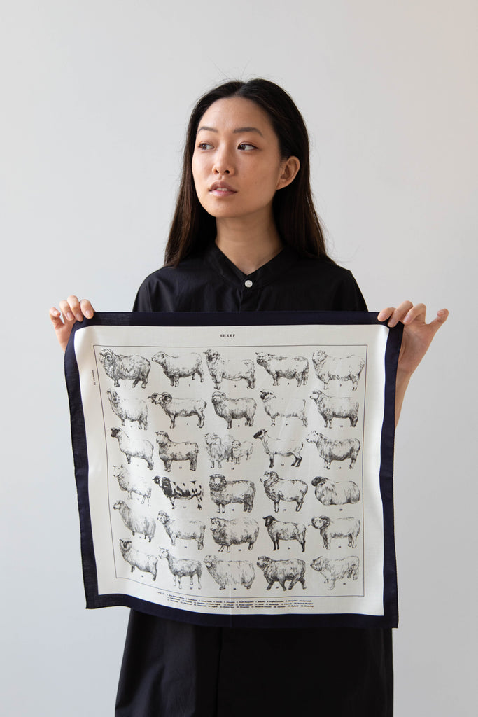 Aseedonclöud Sheep Scarf in Cotton Silk