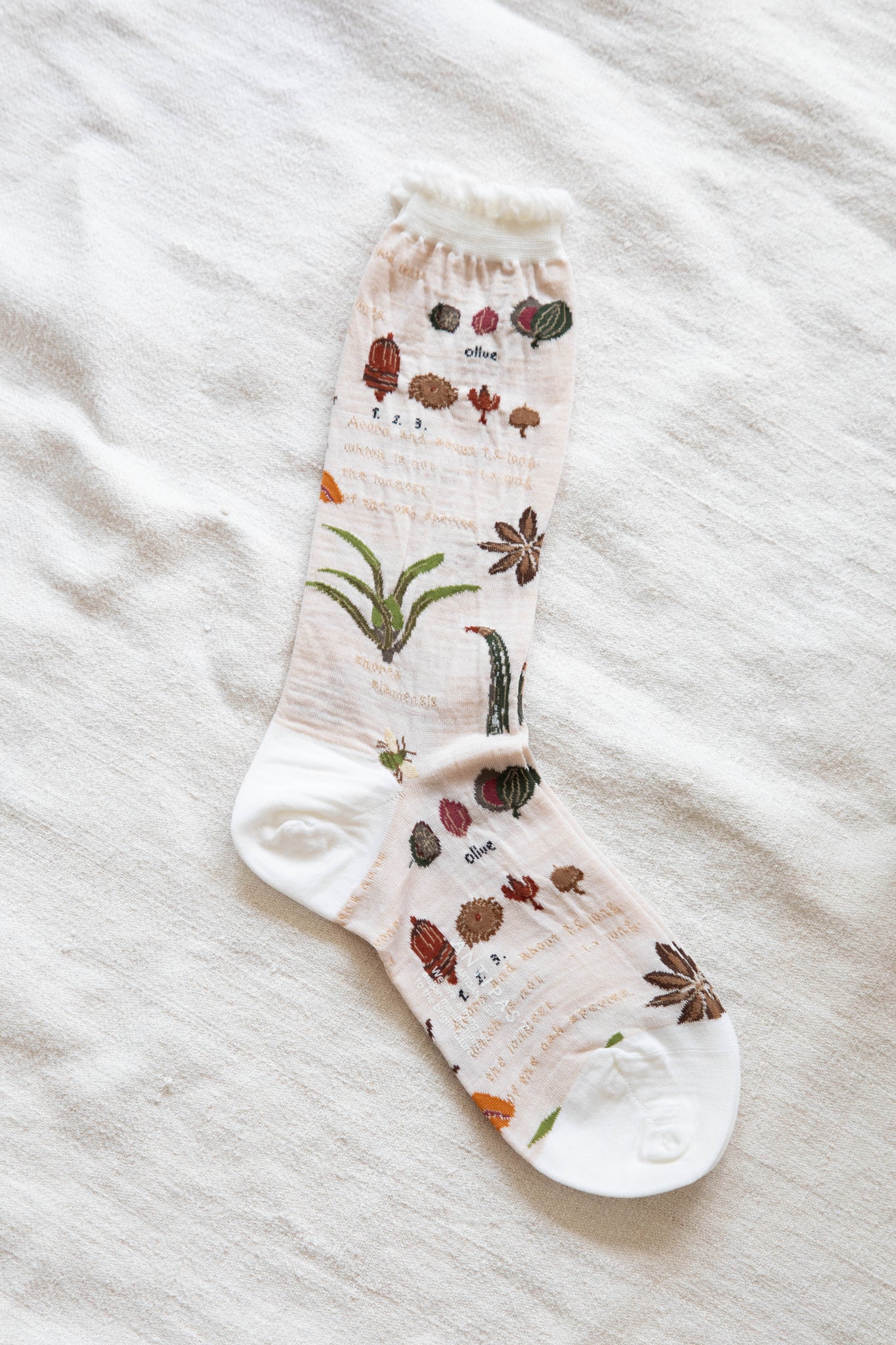 Antipast | Botanical Socks in Ivory