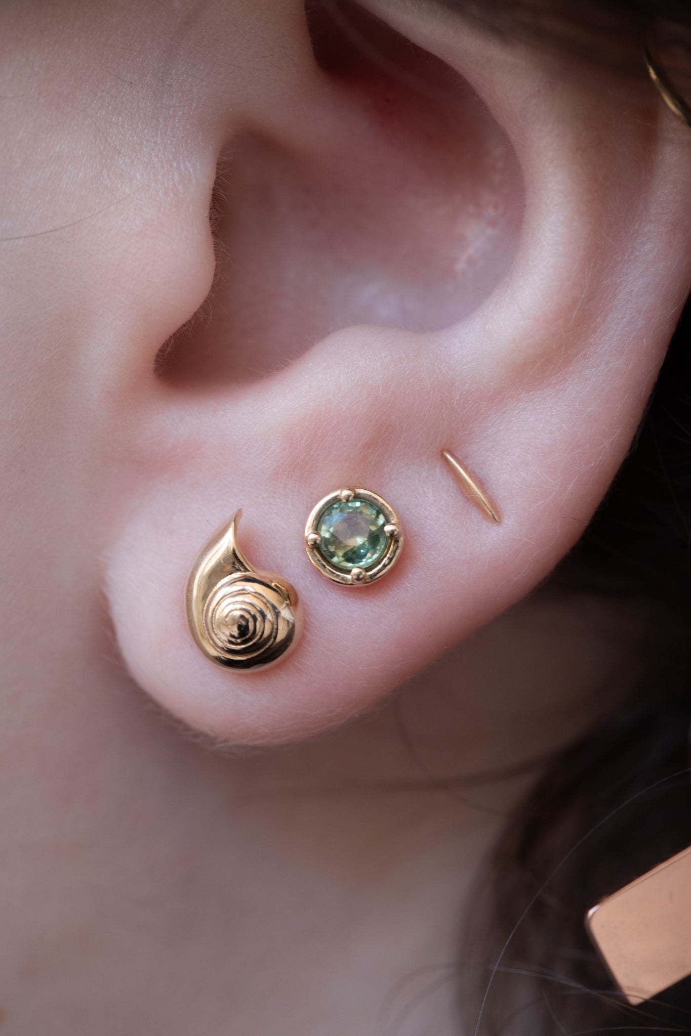 Nautilus shell earrings deals
