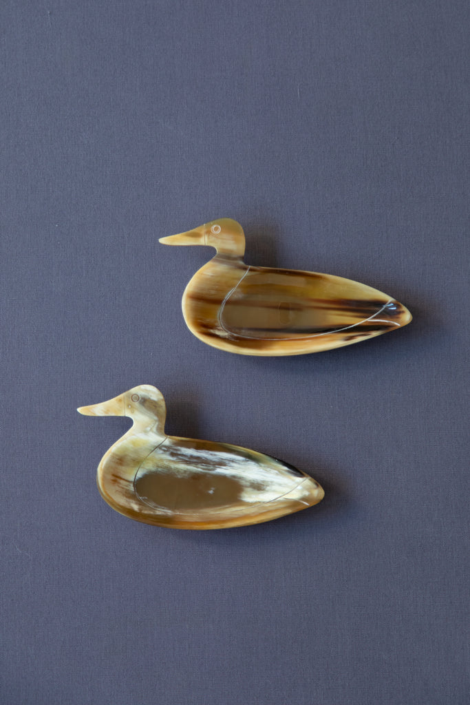 Duck Dish