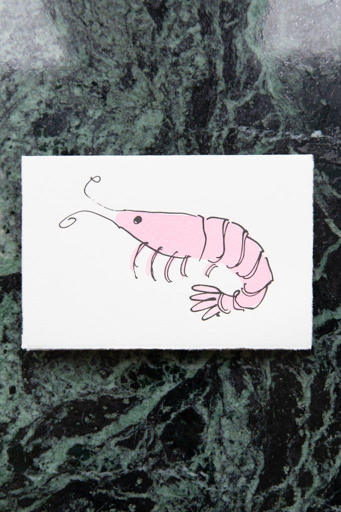 Scribble & Daub | Card in Shrimp