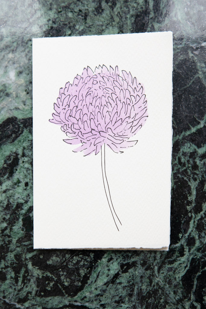 Scribble & Daub | Floral Card in Aster