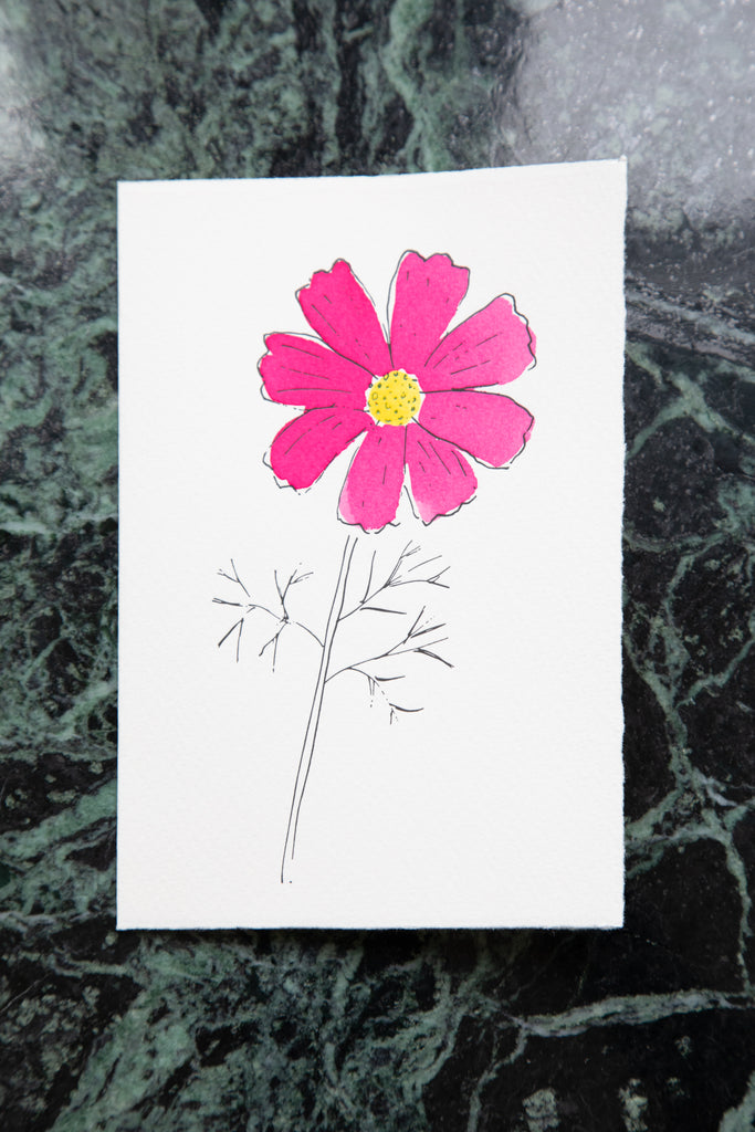 Scribble & Daub | Floral Card in Cosmos