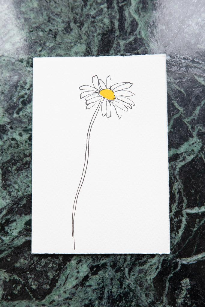 Scribble & Daub | Floral Card in Ox-Eye Daisy