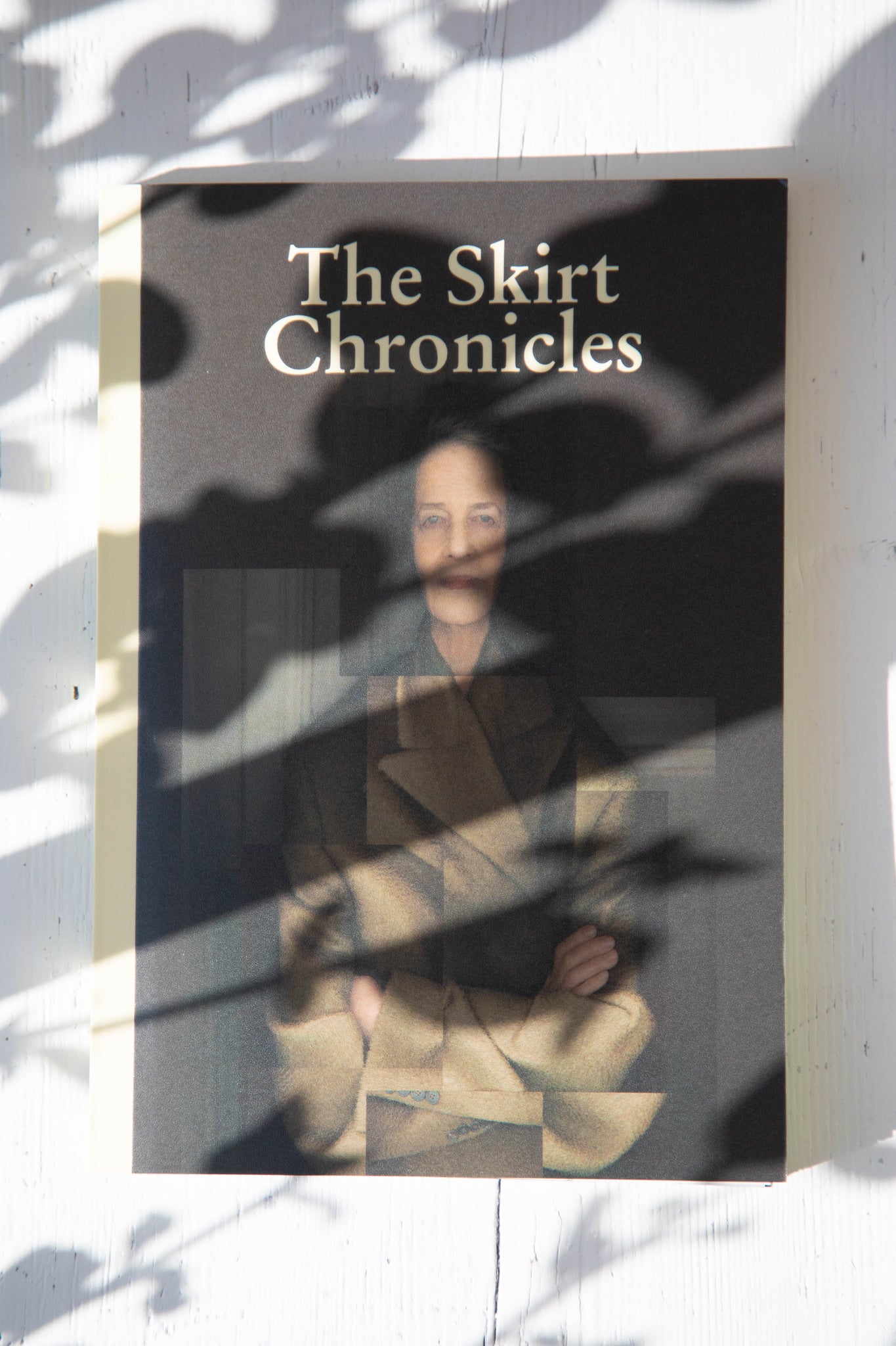 The Skirt Chronicles Volume VIII