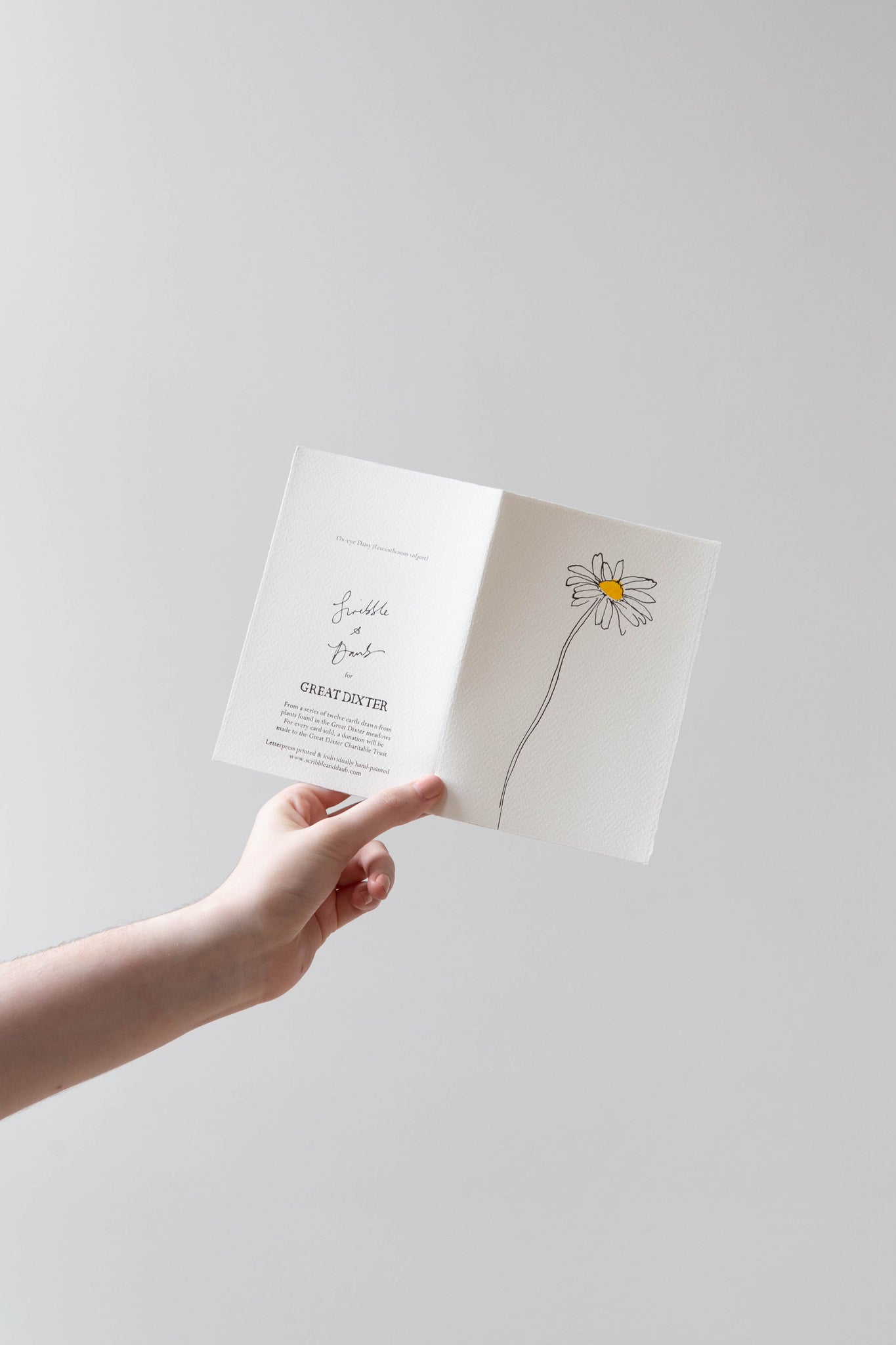 Scribble & Daub Floral Cards- Multiple Styles